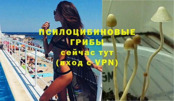 прущий лед Карпинск